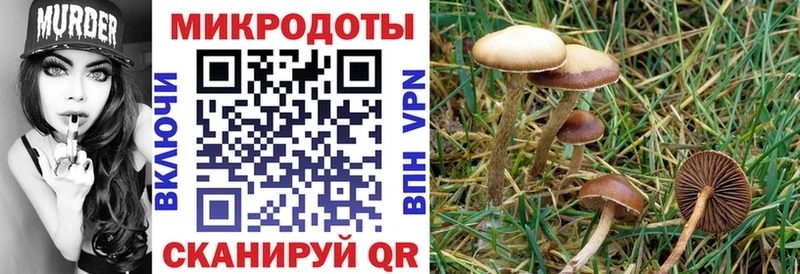 Псилоцибиновые грибы GOLDEN TEACHER  мега как зайти  Печора 